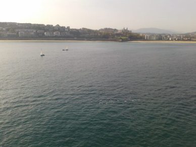 10615342_10204784954324560_4167172070446285978_n