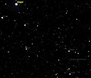Vega