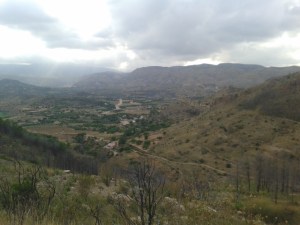 11960003_10207249669740905_1143463450463708350_n