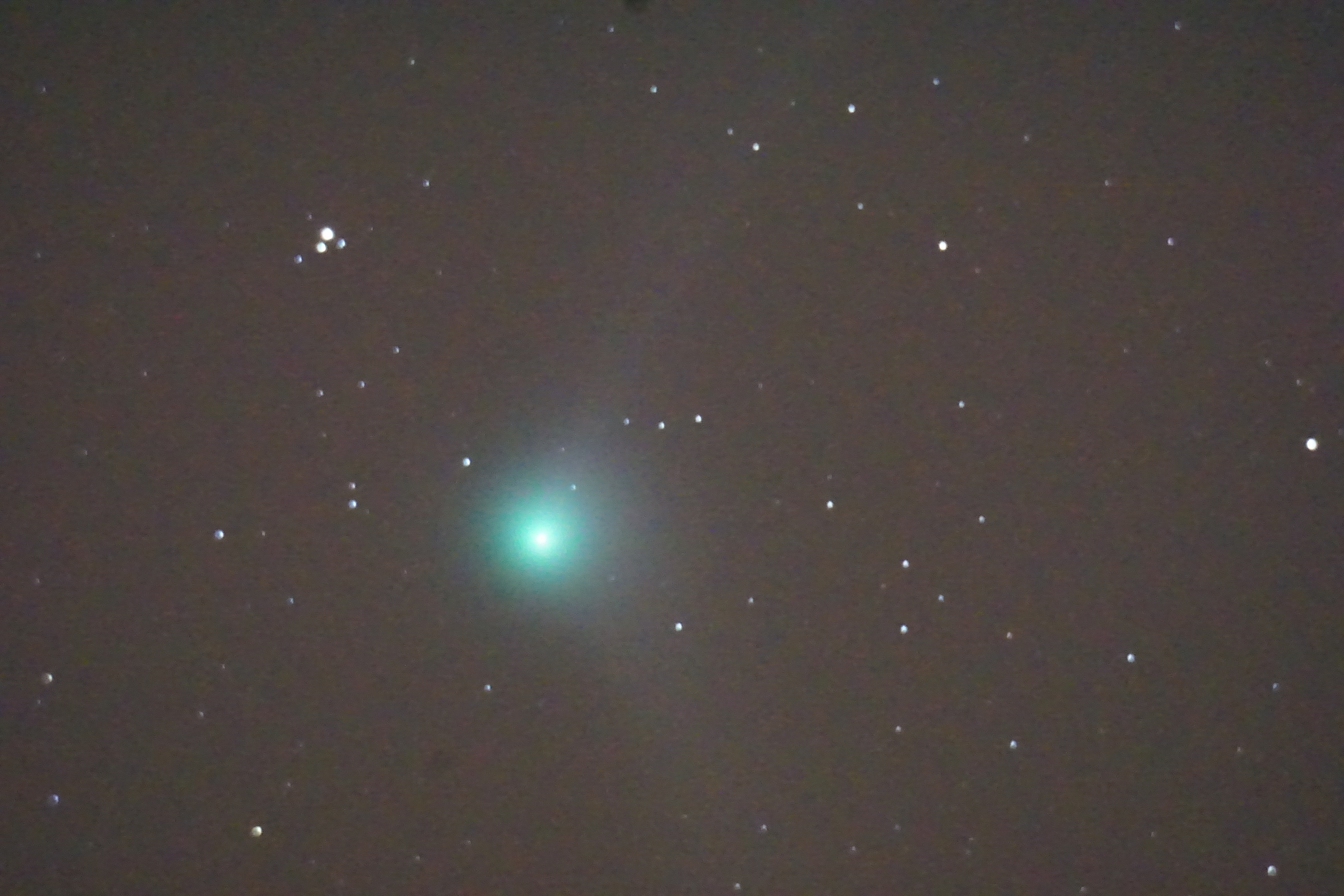 Cometa C2013 US10 Catalina