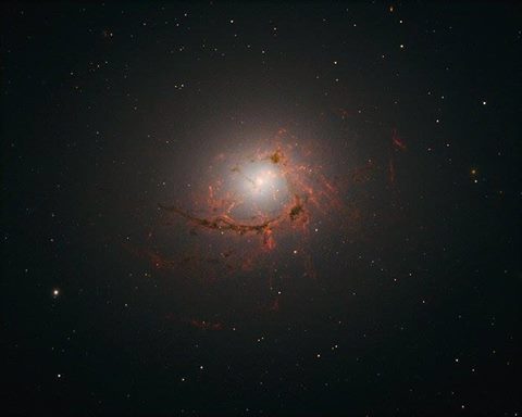 15267745_10154740516679808_6182262696500319157_n