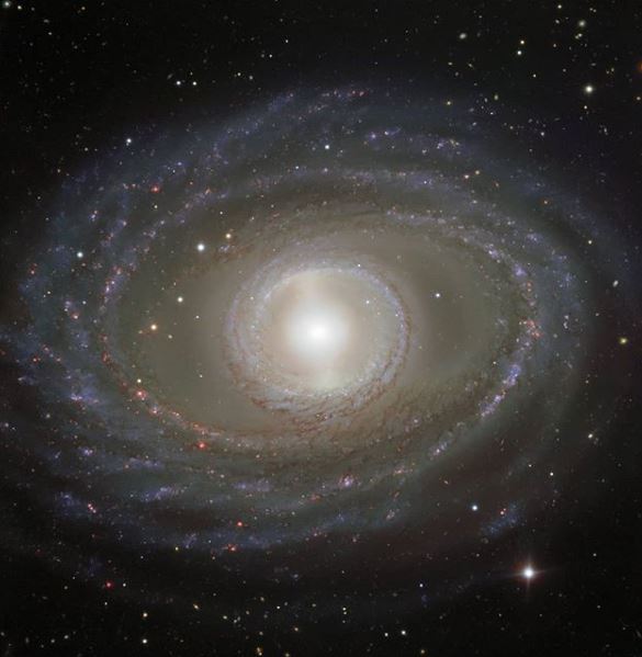 ngc 1398